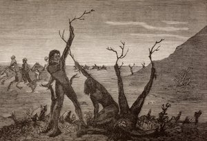 De Boommannen van India in de 19e eeuw, uit 